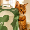 Katten gnuggar sig på Omlet 3 pine cat litteringspåse