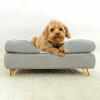 Hund sitter på Omlet Topology hundbädd med bolster sängöverdrag och Gold hårnålsfötter
