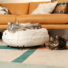Katter vilar på Luxurious mjuk donut kattbädd i Snowboll vit färg med metall svart hårnål designer fötter