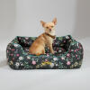 Chihuahua som sitter i en bädd i Omlet nest i midnight meadow-mönstret