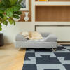 Hund som sover på Omlet Topology hundbädd med grått skötbord och vita hårnålsfötter