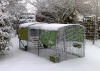 Gröna Eglu Cube och springer i trädgården täckta av Snow