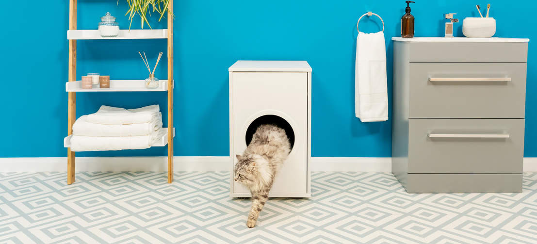 Katt klättrar ut ur Omlet Maya kattlådsmöbler