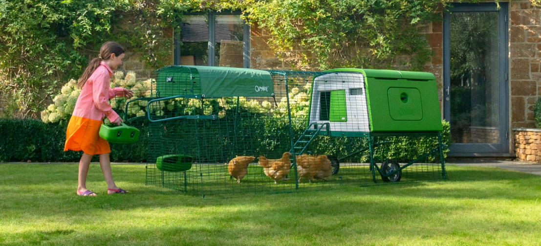 Ung flicka som matar höns i ett grönt Cube hönshus med en springa och ett lock