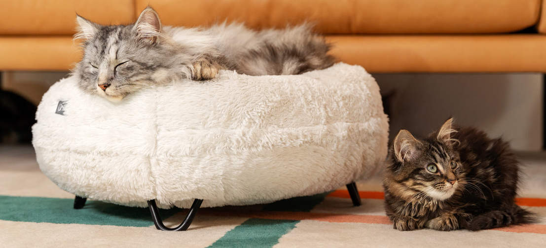 Katt vilar på Luxurious mjuk donut kattbädd i Snowboll vit färg med metall svart hårnål designer fötter