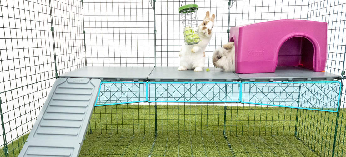 Zippi-plattformarna har en starkt metallram för att se till att de inte böjer sig eller ger vika när dina kaniner leker på dem.