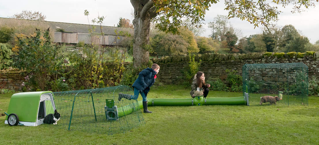 Zippi-kaningårdar är perfekta för barn som vill tillbringa tid med sina husdjur.