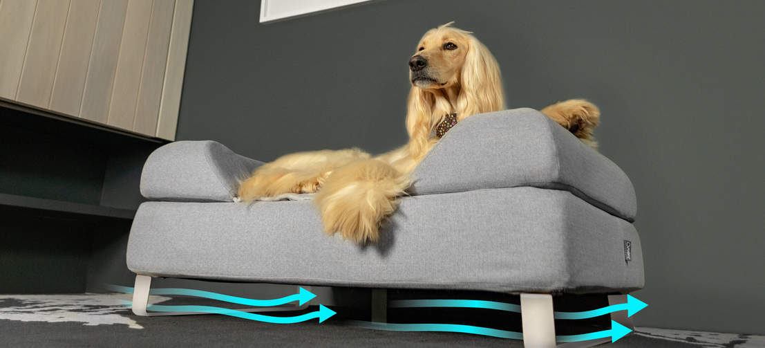 Att lyfta sängen från golvet med ben förbättrar både luftcirkulationen och hygienen vilket ger dig en både gladare och friskare hund.