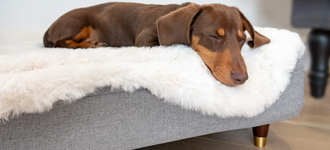 Du kan välja att montera ben på din hunds säng för att den ska se extra snygg ut tillsammans med resten av dina möbler.