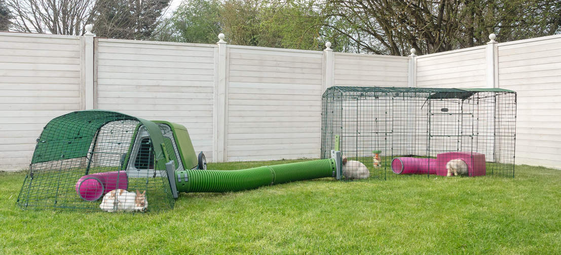Du kan förlänga din gård både på längden och bredden och fortsätta bygga ut den ultimata kaninlekplatsen!