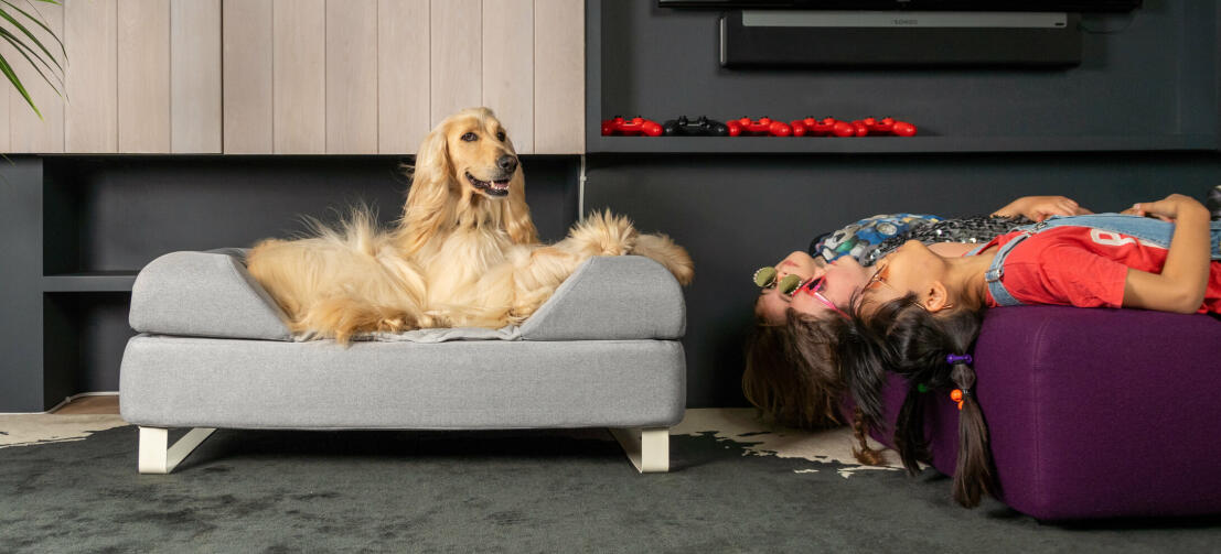Hund som ligger på Omlet Topology hund säng med bolster säng topp och vita skenor fötter med flickor som ligger upp och ner