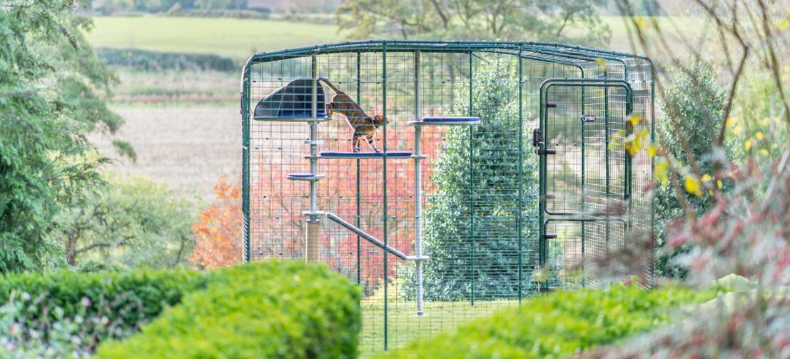 Klättring för katter Freestyle kattträd utomhus i Omlet kattträd utomhus i trädgården