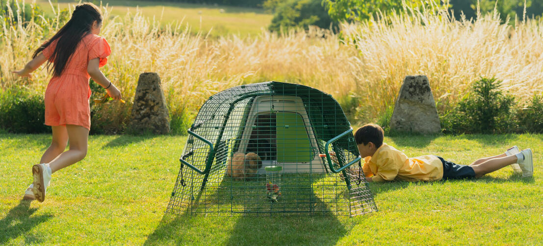 Barn som leker i trädgården och interagerar med sin kanin genom gallret i rastgården.