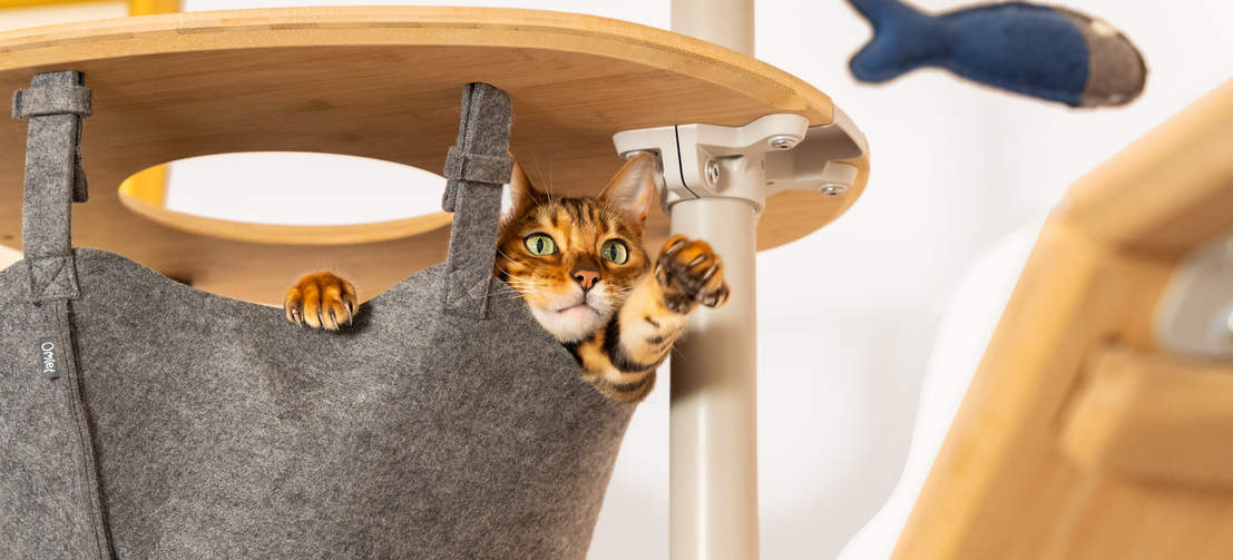 Katt i hängmatta av filt på plattformen leker med fiskleksak i Freestyle inomhus Golv till tak kattträd
