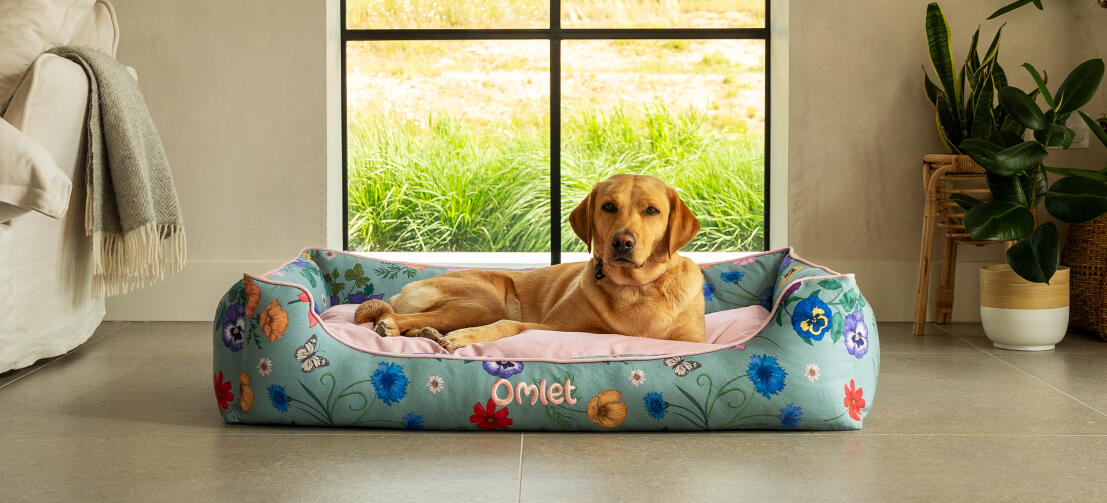Retriever på stor nest hundbädd i gardenia salvia tryck.