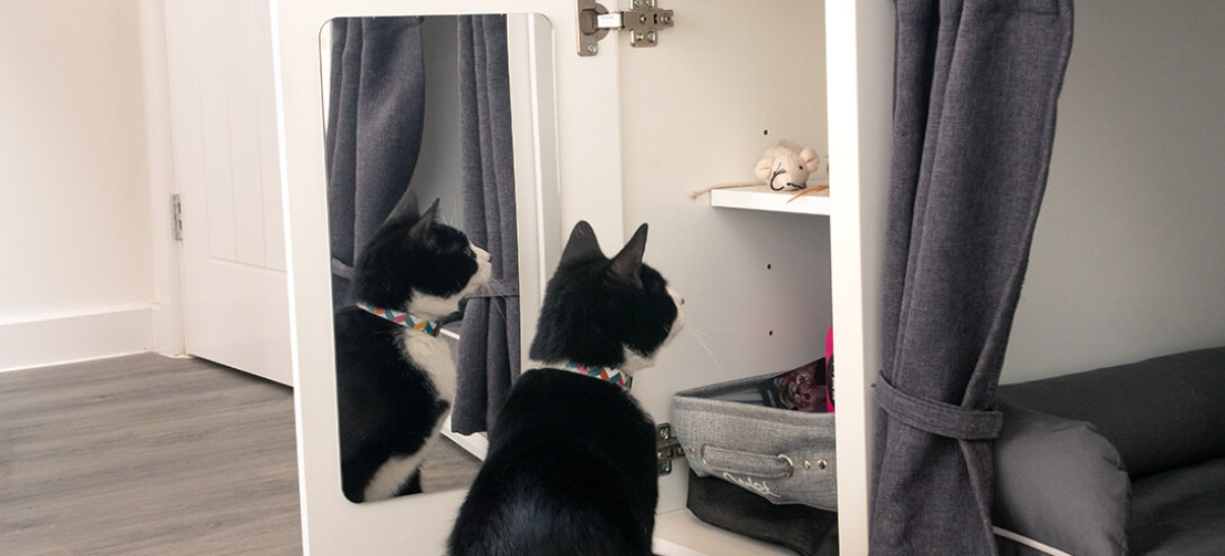 Brukar din katt kunna hitta sina godisbitar när du inte är hemma? Garderoben till Maya Nook är en praktisk (och säker) förvaringslösning