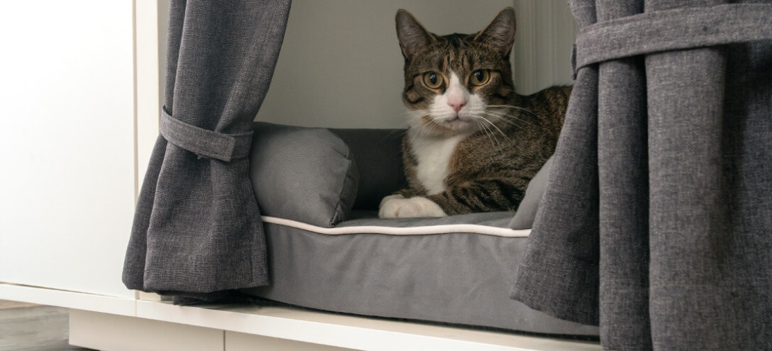 Eftersom sängen är placerad ovanför golvet skyddar Maya Nook din katt från otrevliga drag Eftersom sängen är placerad ovanför golvet skyddar Maya Nook din katt från otrevliga drag