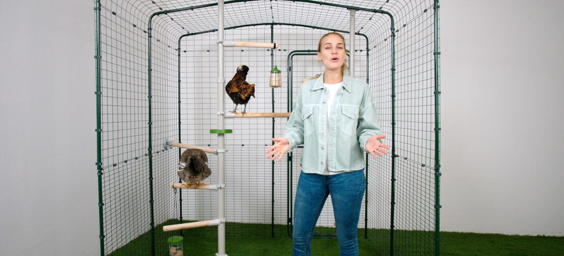 Flicka bredvid ett Poletree kycklingupphängningssystem