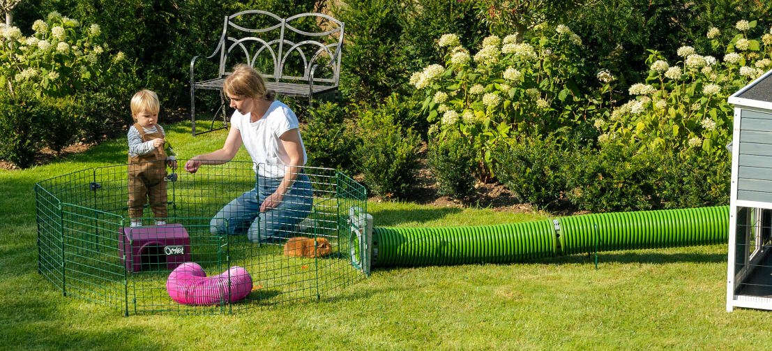 En familj leker med marsvin i trädgården, med Zippi tunnlar som förbinder Zippi lekhagen med en trähydda.