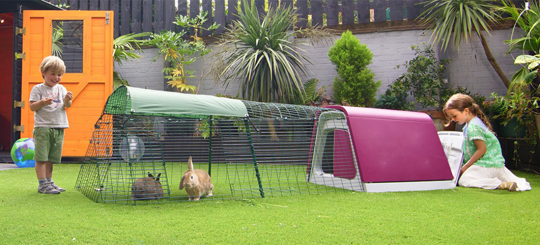 Med en hage Eglu Go kan du och dina kaniner tillbringa tid tillsammans i trädgården.