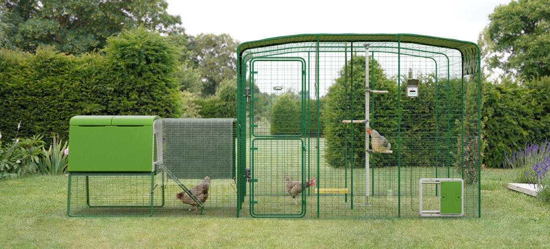 Hönsgård med gångbana som är ansluten till Eglu Cube hönsgård Hönsgård med gångbana som är ansluten till Eglu Cube hönsgård