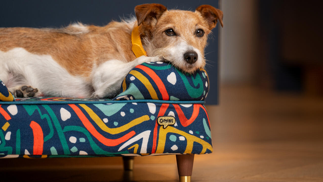 Liten terrier på en bolsterbädd med djärvt tryck