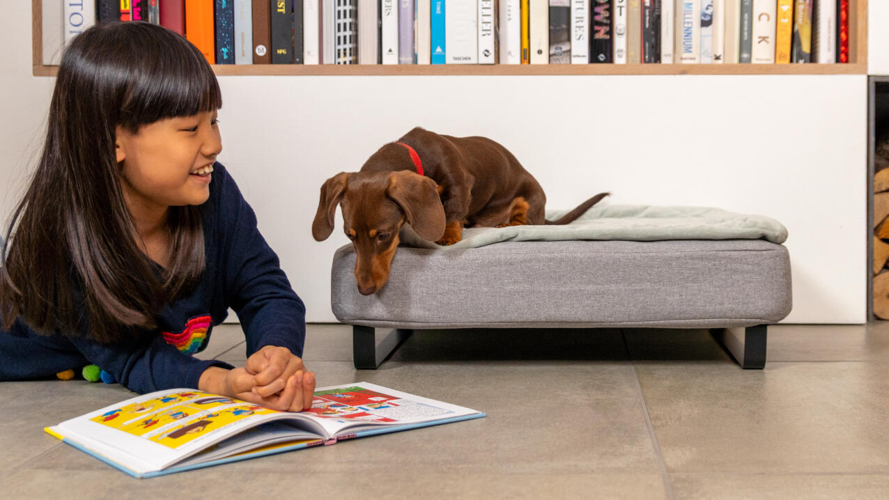 Liten flicka som läser en bok bredvid en korv på en Topology hundbädd