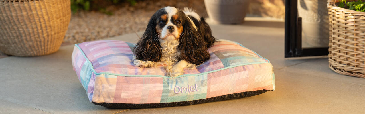 Spaniel satt på liten kudde hundbädd i prisma kalejdoskop tryck - en del av gardenia kollektionen av Omlet.