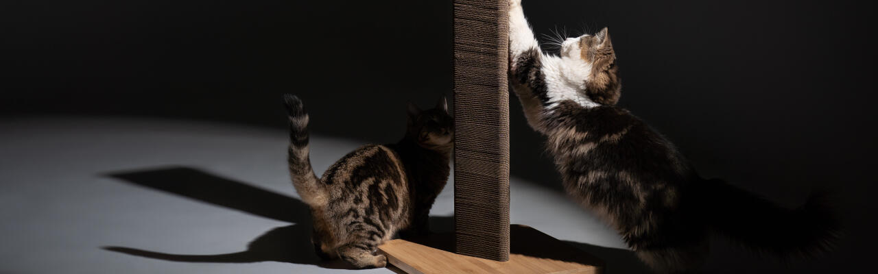 Hög Stak hållbar kattskrapa i kartong