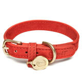 Hundhalsband