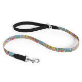 Designer-koppel till hunden