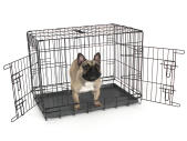 Fido Classic 30 hundkorg med hund