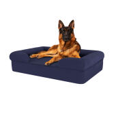 Hund som sitter på midnatt blå stora minnesskum bolster hund säng