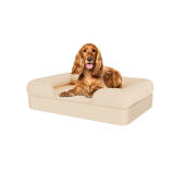 Hund sitter på medium naturlig beige memory foam bolster hund säng