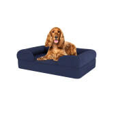 Hund sitter på medium midnight blue memory foam bolster hund säng