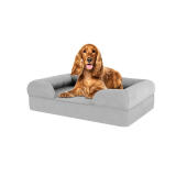 Hund sitter på medium stone grey memory foam bolster hund säng