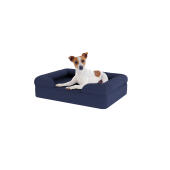 Hund sitter på liten midnatt blå memory foam bolster hund säng