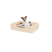 Hund som sitter på liten naturlig beige skum med minnesskum bolster hund säng