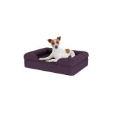 Hund sitter på liten plommon lila minnesskum bolster hund säng