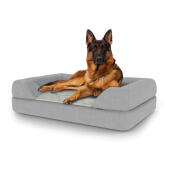 Hund som sitter på en stor Topology hundbädd med bolster