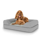 Hund som sitter på medium Topology hundbädd med bolster