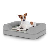Hund som sitter på en liten Topology hundbädd med bolster