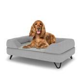 Hund som sitter på en medium Topology hundbädd med grått kuddeunderlag och svarta hårnålsfötter i metall