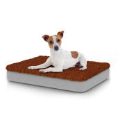 Hund sitter på liten Topology hundbädd med mikrofibertopp
