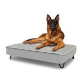 Hund som sitter på en stor Topology hundbädd med quiltat överdrag och hårnålsfötter i svart metall