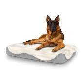 Hund sitter på stor Topology hundbädd med fårskinnsöverdrag