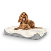 Hund sitter på medium Topology hundbädd med fårskinnsöverdrag