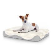 Hund sitter på liten Topology hundbädd med fårskinnsöverdrag