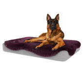 Hund sitter på stor Topology hundbädd med damson lila fårskinnsöverdrag