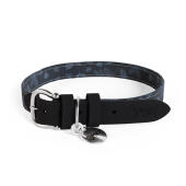Designer stor hundhalsband av Omlet